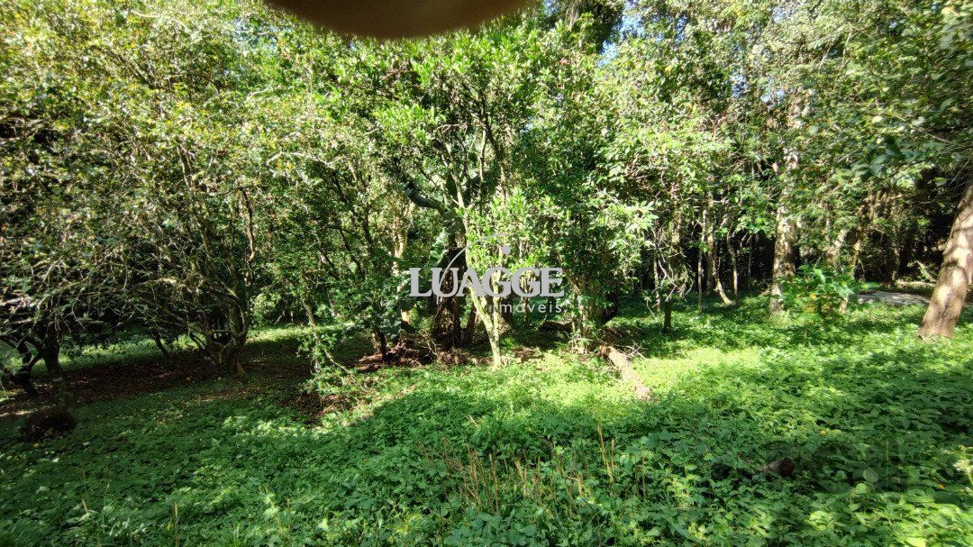 Sítio à venda com 3 quartos, 351m² - Foto 17