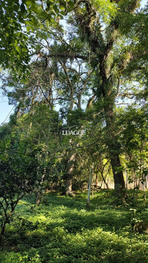 Sítio à venda com 3 quartos, 351m² - Foto 18