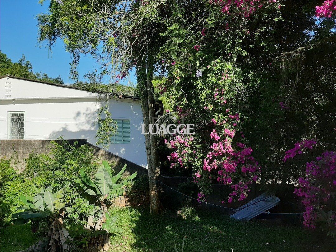 Terreno à venda, 3802m² - Foto 3