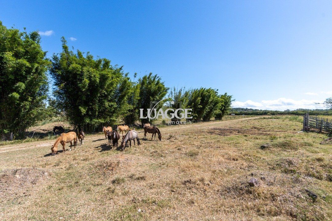 Fazenda à venda, 154999m² - Foto 16