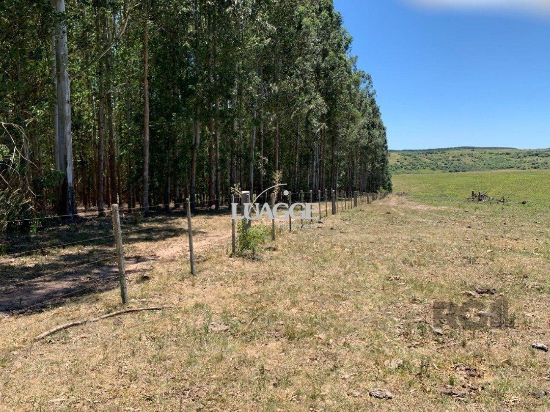 Fazenda à venda, 2804502m² - Foto 12