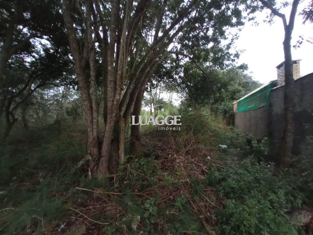 Terreno à venda, 2161m² - Foto 2