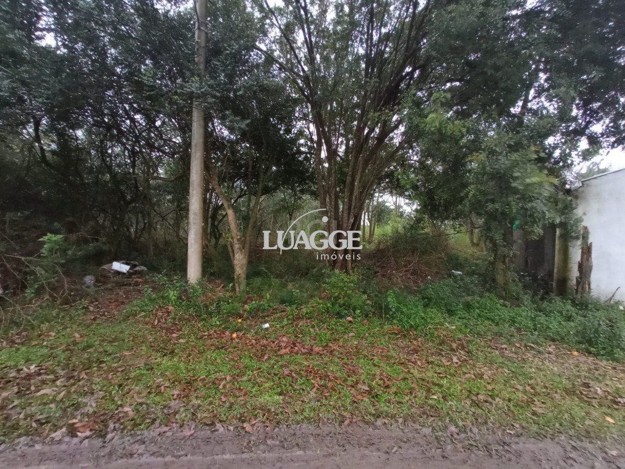 Terreno à venda, 2161m² - Foto 4