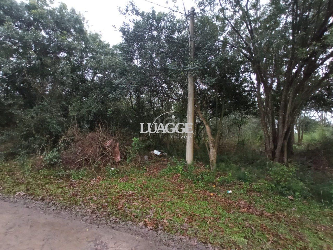 Terreno à venda, 2161m² - Foto 5
