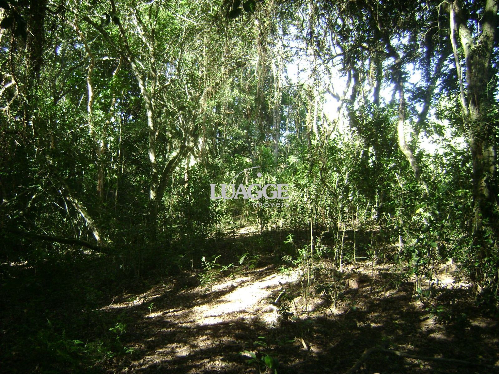 Sítio à venda com 1 quarto, 25000m² - Foto 9