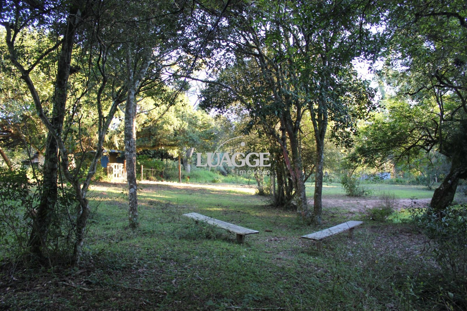 Sítio à venda com 1 quarto, 25000m² - Foto 25