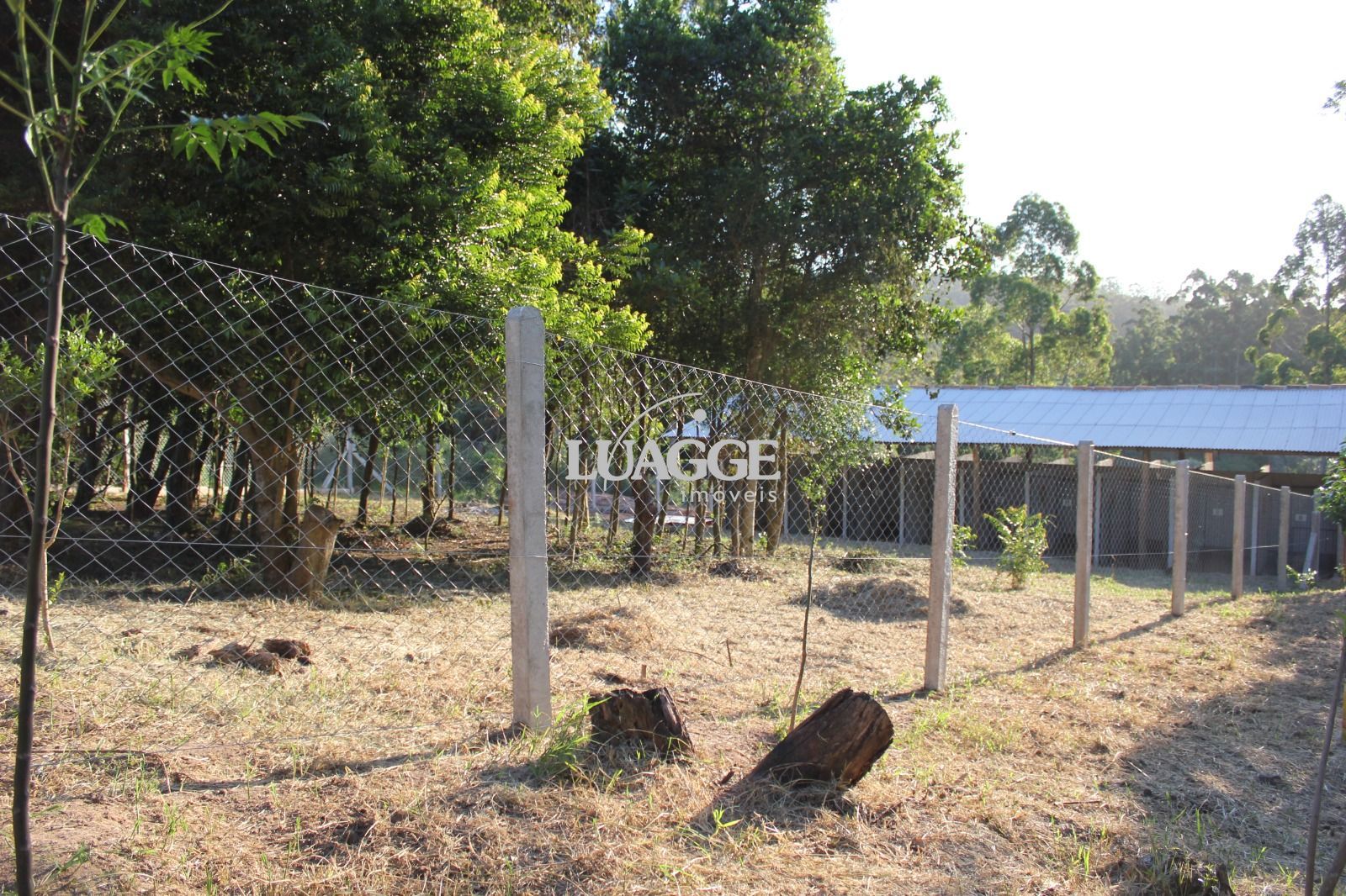 Sítio à venda com 1 quarto, 25000m² - Foto 33