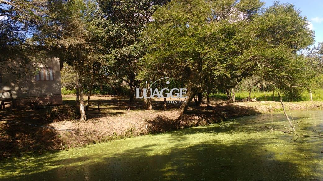 Sítio à venda com 1 quarto, 25000m² - Foto 14