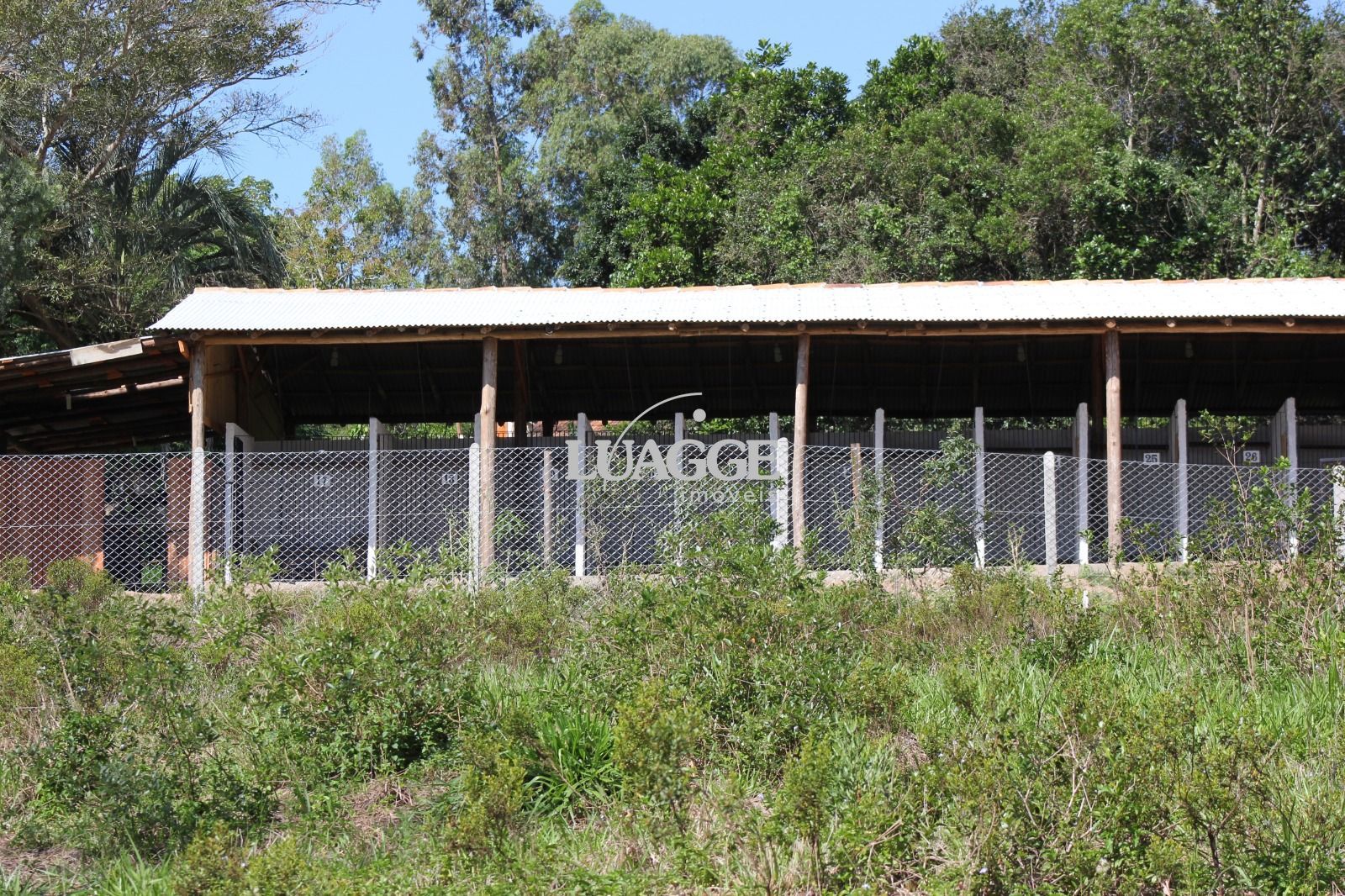 Sítio à venda com 1 quarto, 25000m² - Foto 36