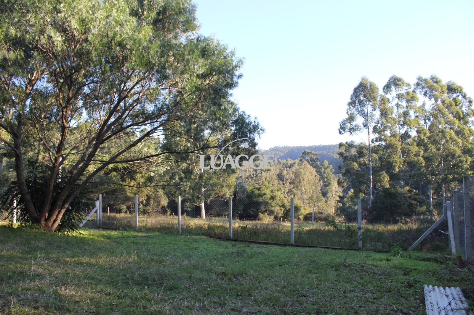 Sítio à venda com 1 quarto, 25000m² - Foto 23
