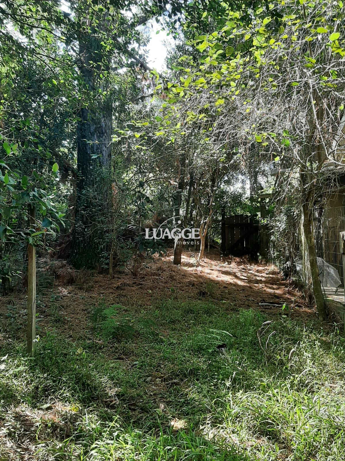 Terreno à venda, 331m² - Foto 3