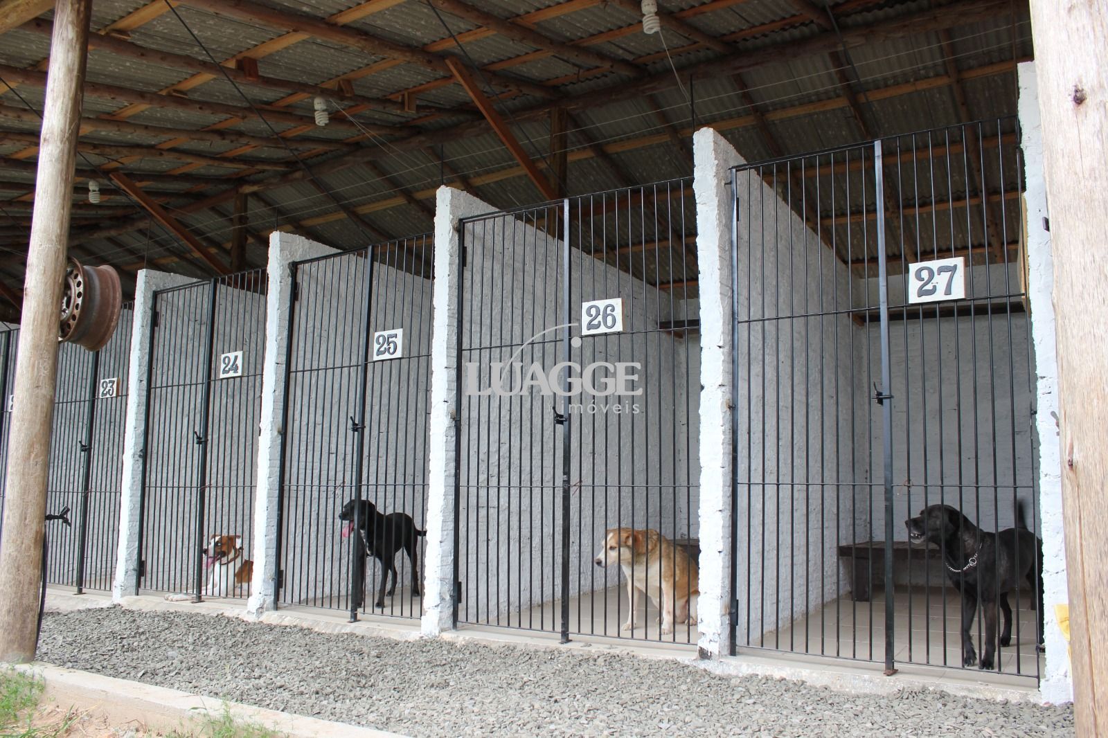 Sítio à venda com 1 quarto, 25000m² - Foto 41