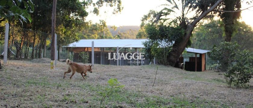 Sítio à venda com 1 quarto, 25000m² - Foto 27