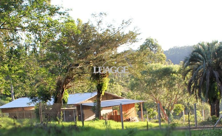 Sítio à venda com 1 quarto, 25000m² - Foto 38