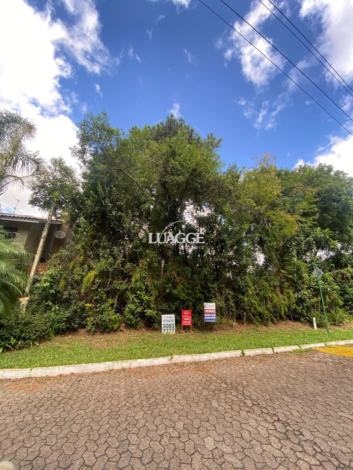 Terreno à venda, 331m² - Foto 1