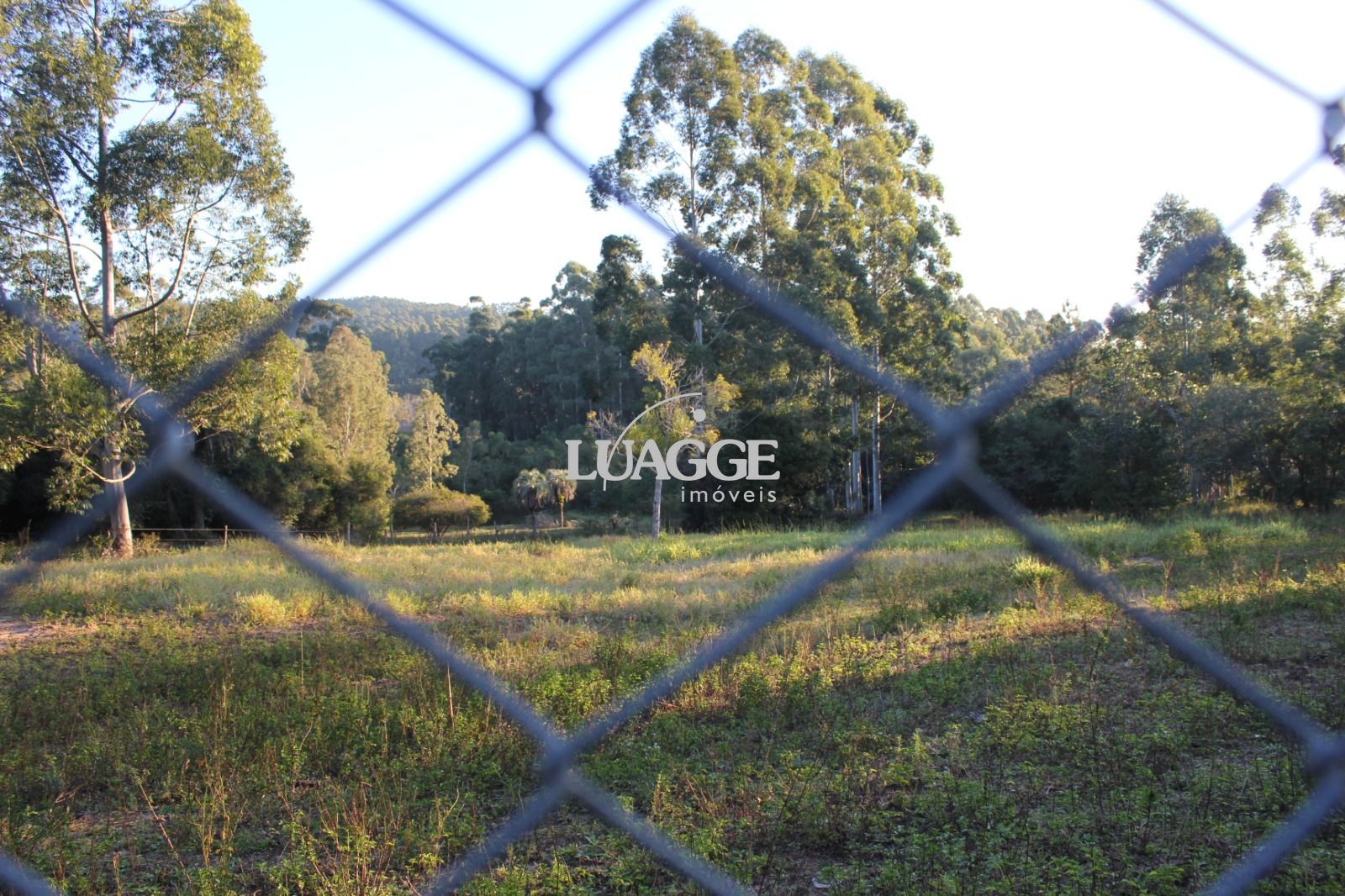 Sítio à venda com 1 quarto, 25000m² - Foto 7