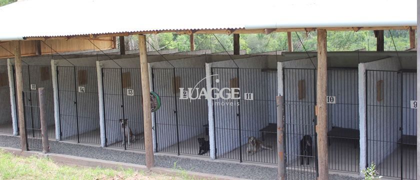 Sítio à venda com 1 quarto, 25000m² - Foto 17