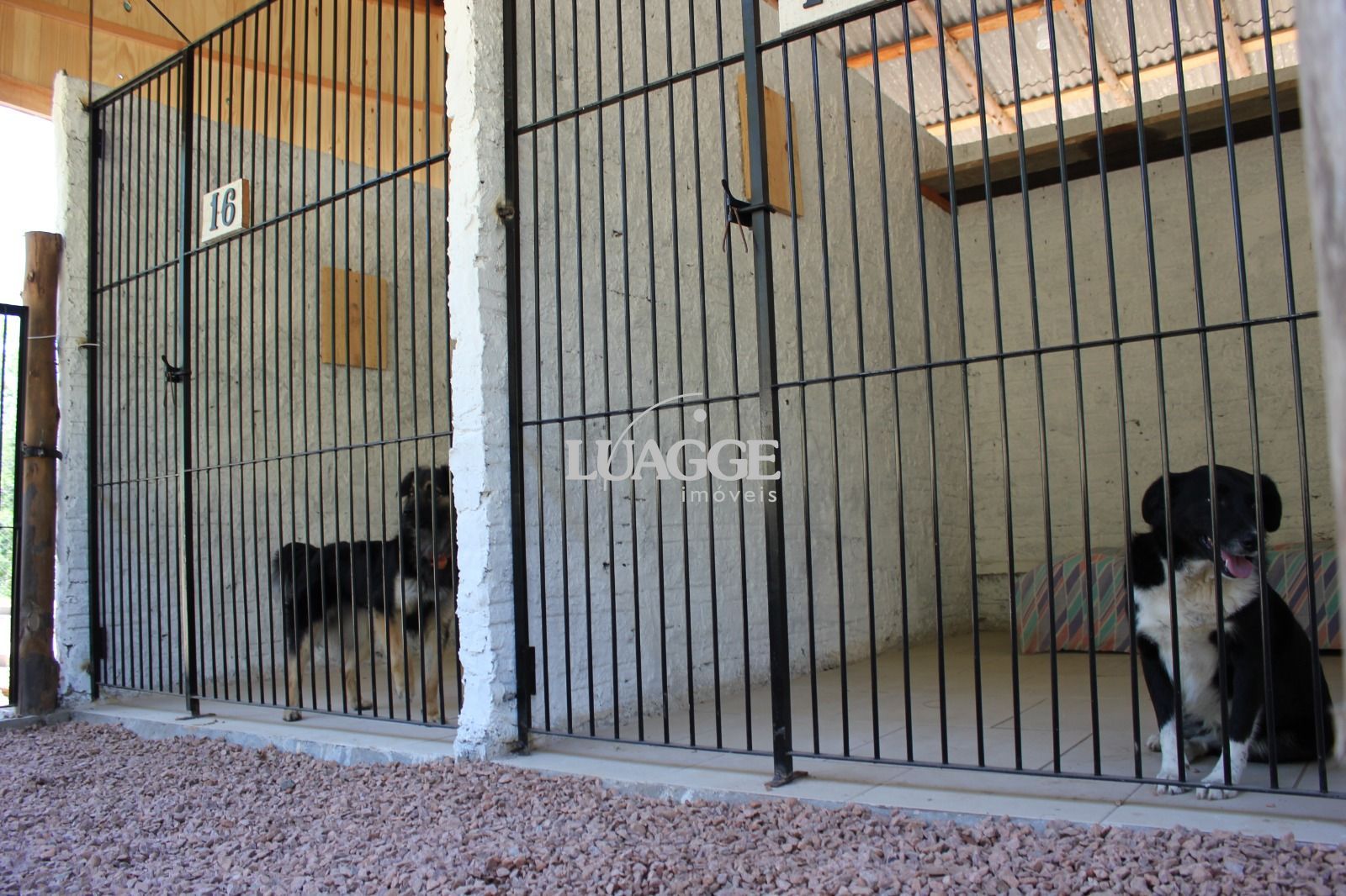 Sítio à venda com 1 quarto, 25000m² - Foto 29