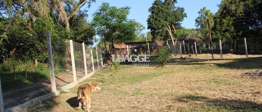 Sítio à venda com 1 quarto, 25000m² - Foto 21