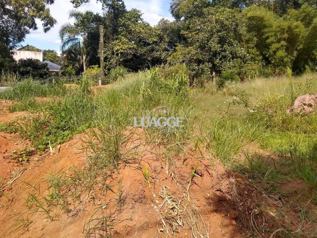 Terreno à venda, 780m² - Foto 3
