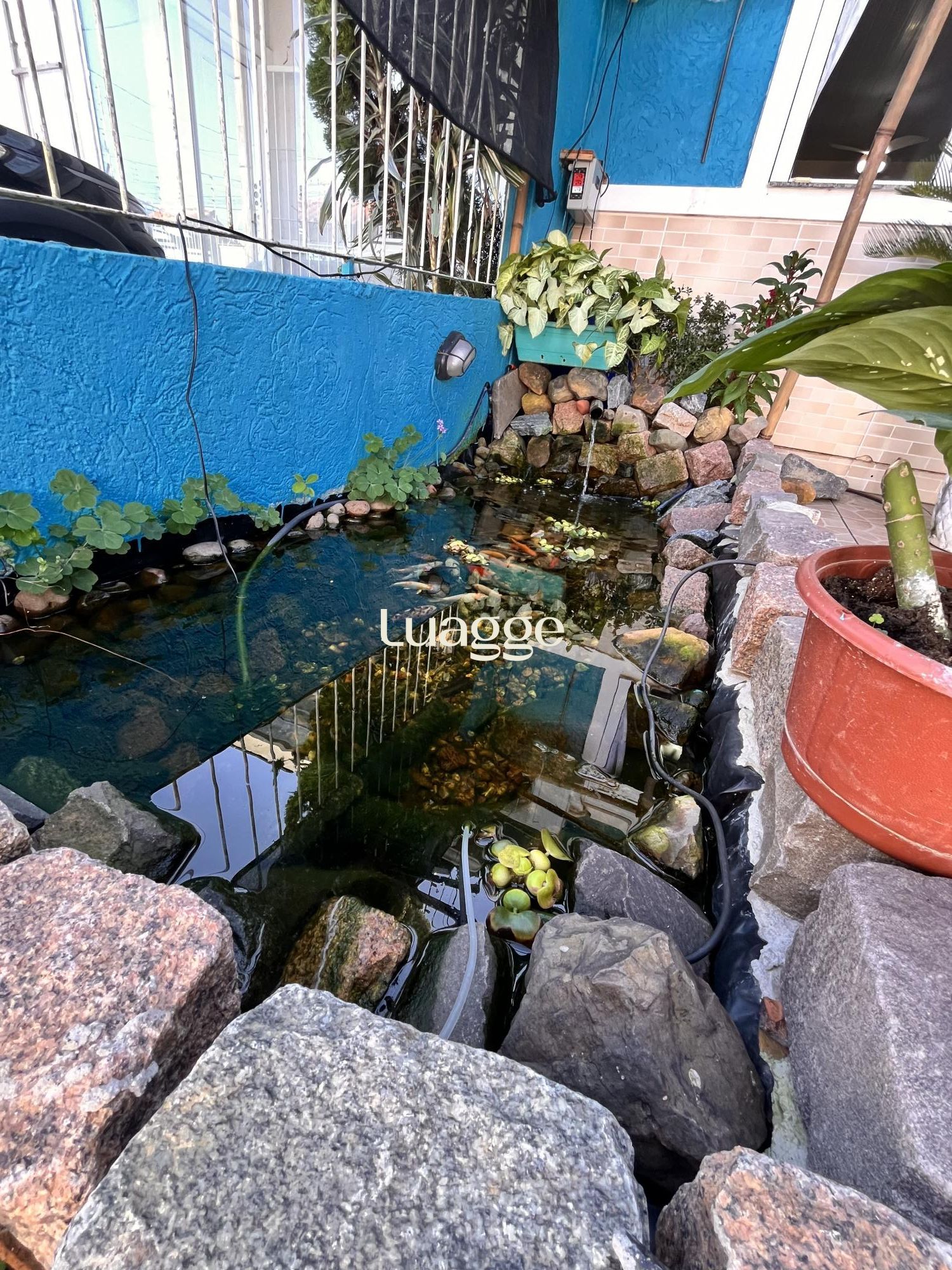 Casa à venda com 3 quartos, 52m² - Foto 4