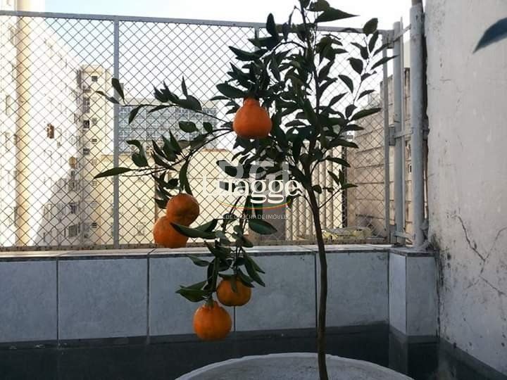 Apartamento, 3 quartos, 191 m² - Foto 3
