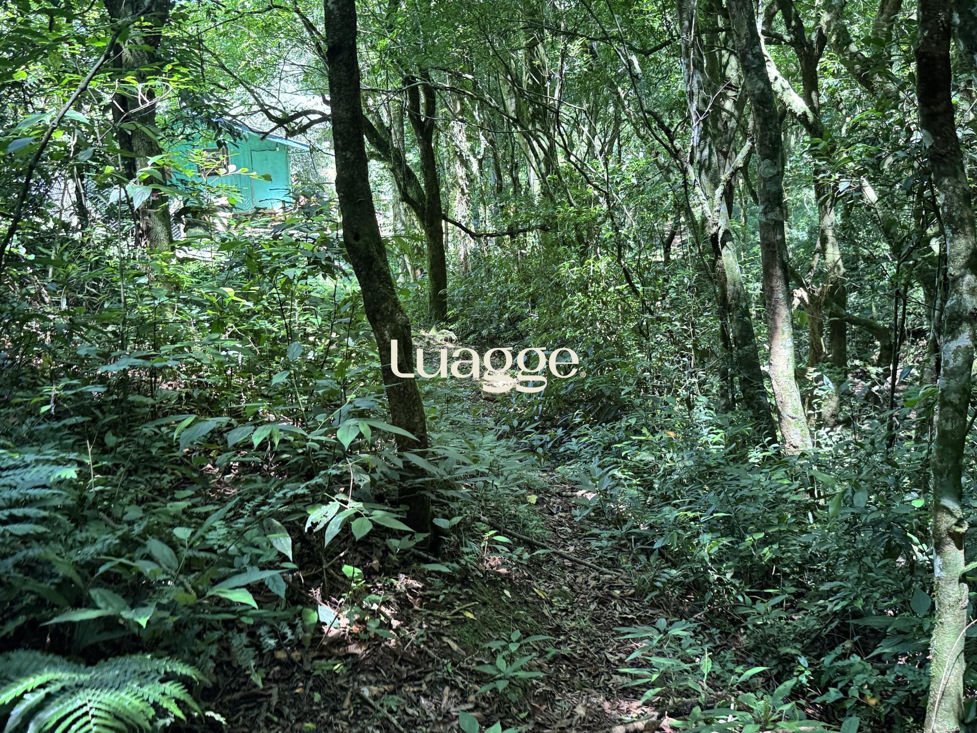 Sítio, 3 quartos, 191 m² - Foto 6