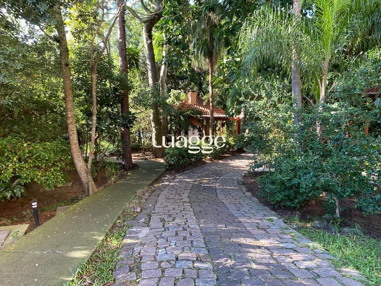 Apartamento à venda com 3 quartos, 66m² - Foto 25