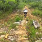 Sítio, 1 quarto, 20001 m² - Foto 5