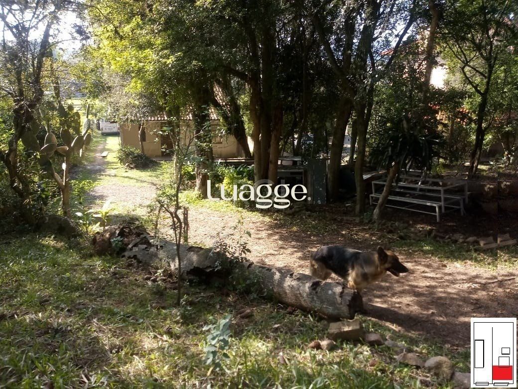 Terreno, 2241 m² - Foto 7