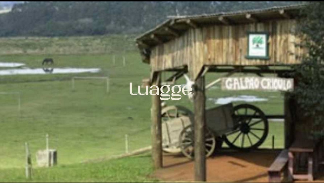 Sítio, 1 quarto, 20001 m² - Foto 3