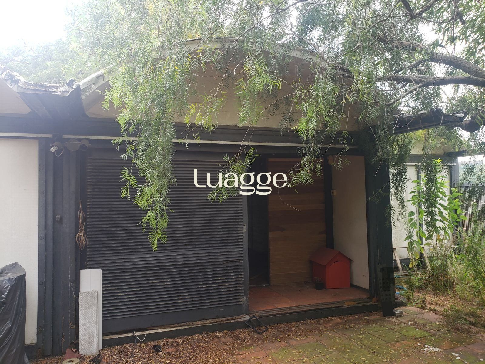 Terreno, 1559 m² - Foto 4