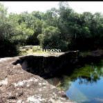 Sítio, 1 quarto, 20001 m² - Foto 2