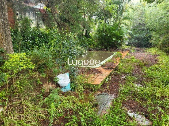 Terreno, 1559 m² - Foto 10