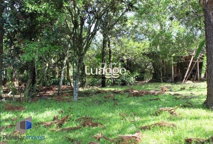 Sítio, 3 quartos, 101 m² - Foto 8