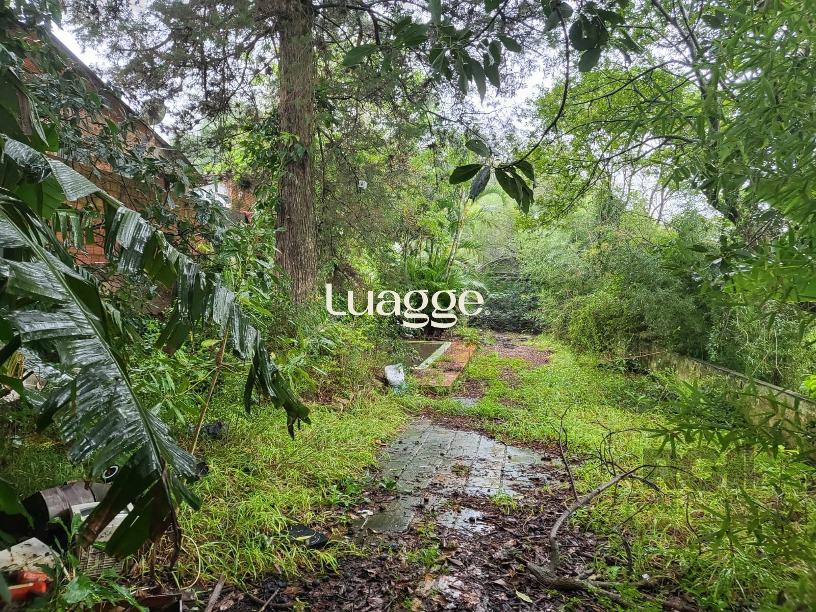 Terreno, 1559 m² - Foto 9