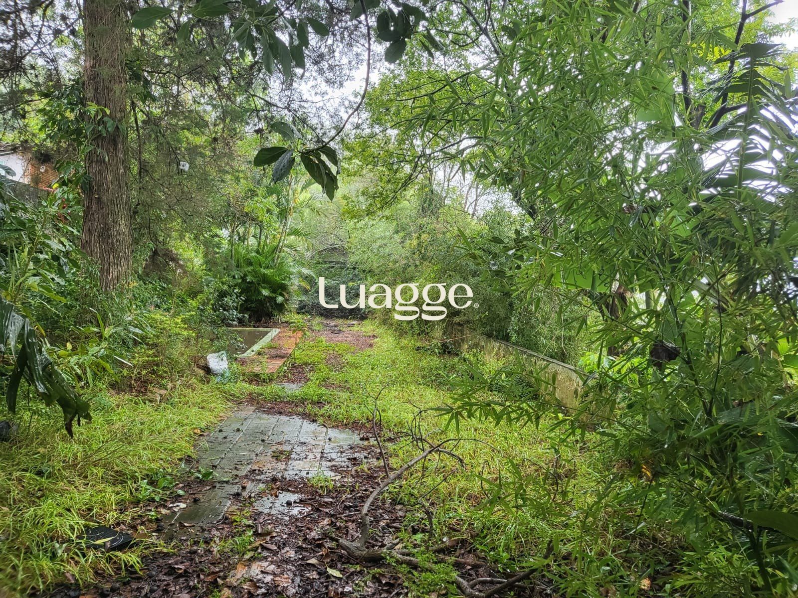 Terreno, 1559 m² - Foto 7