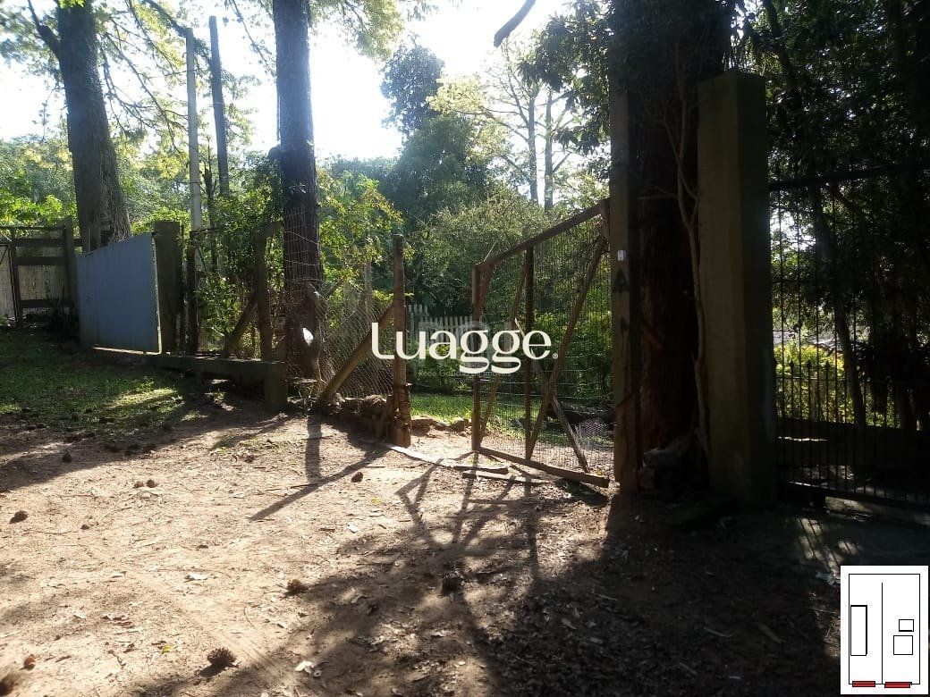 Terreno, 2241 m² - Foto 3