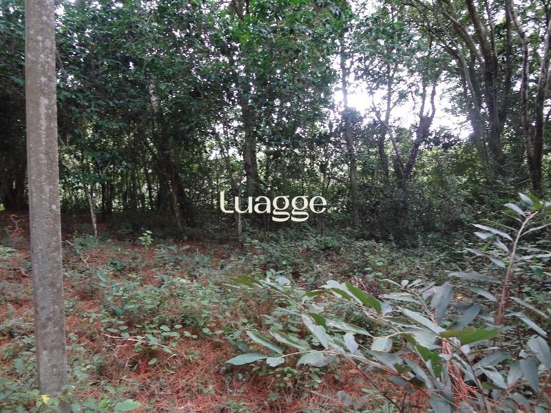 Terreno à venda, 145002m² - Foto 15