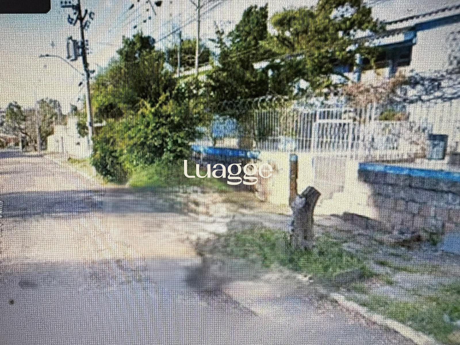 Casa, 3 quartos, para alugar, 127 m², Santa Tereza - Porto Alegre — foto 3