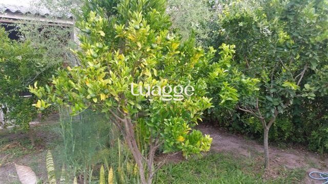 Casa, 2 quartos, 301 m² - Foto 9