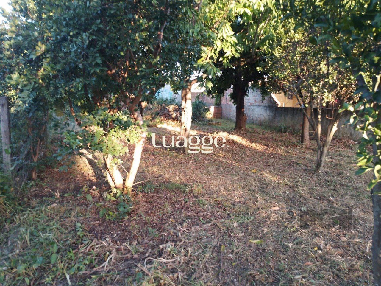 Terreno, 441 m² - Foto 2