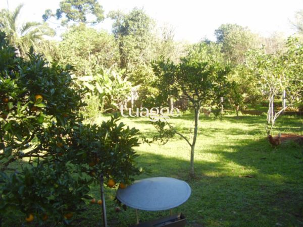 Sítio, 3 quartos, 306 m² - Foto 33