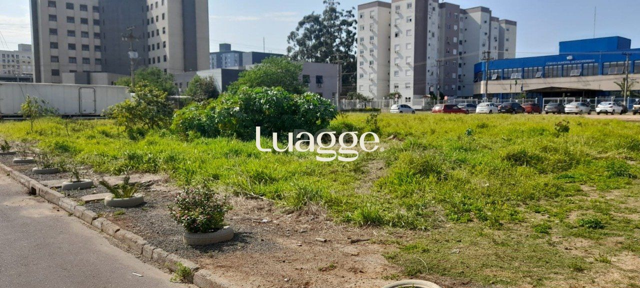 Terreno à venda, 377m² - Foto 6