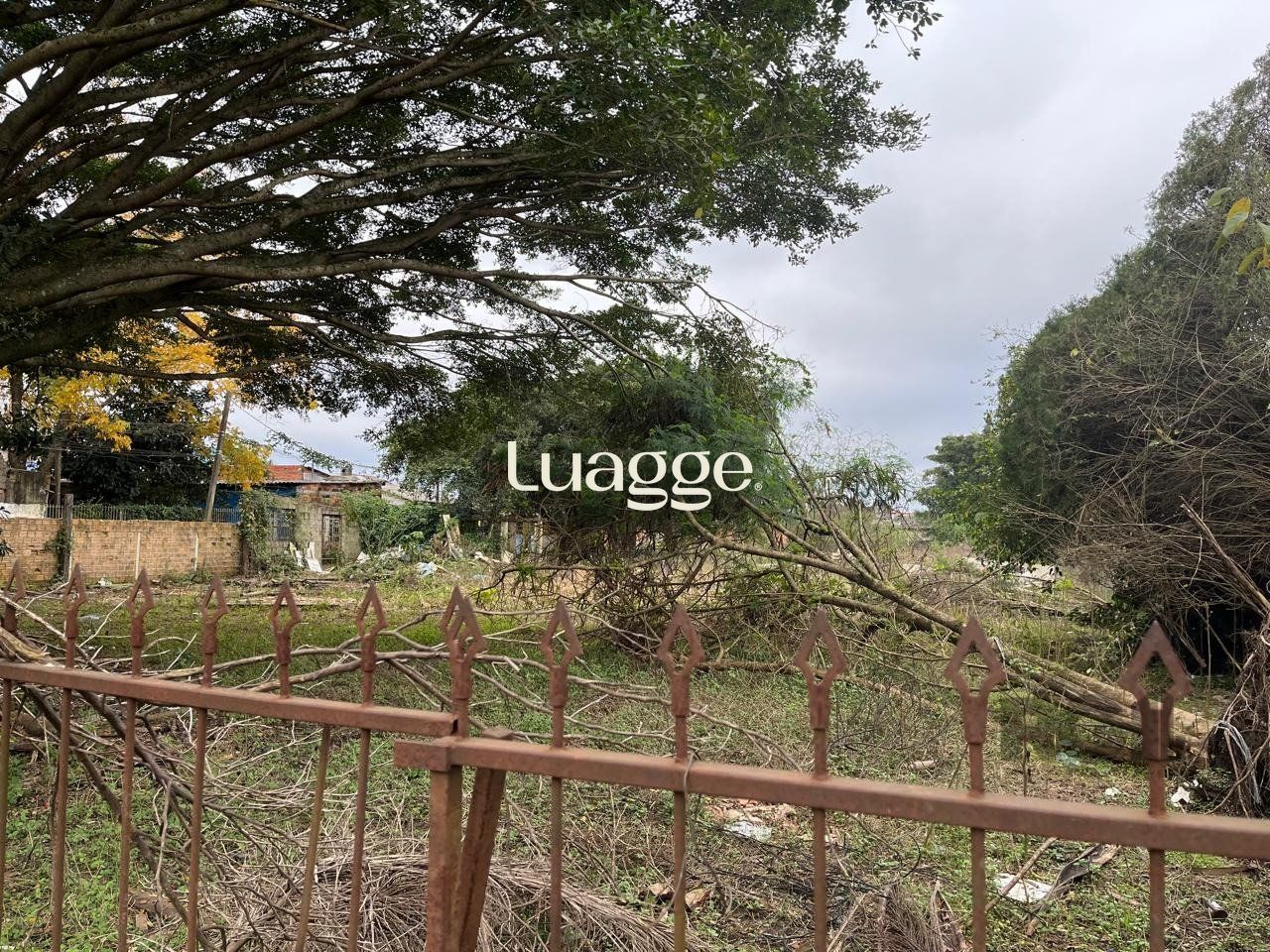 Terreno à venda, 2999m² - Foto 2