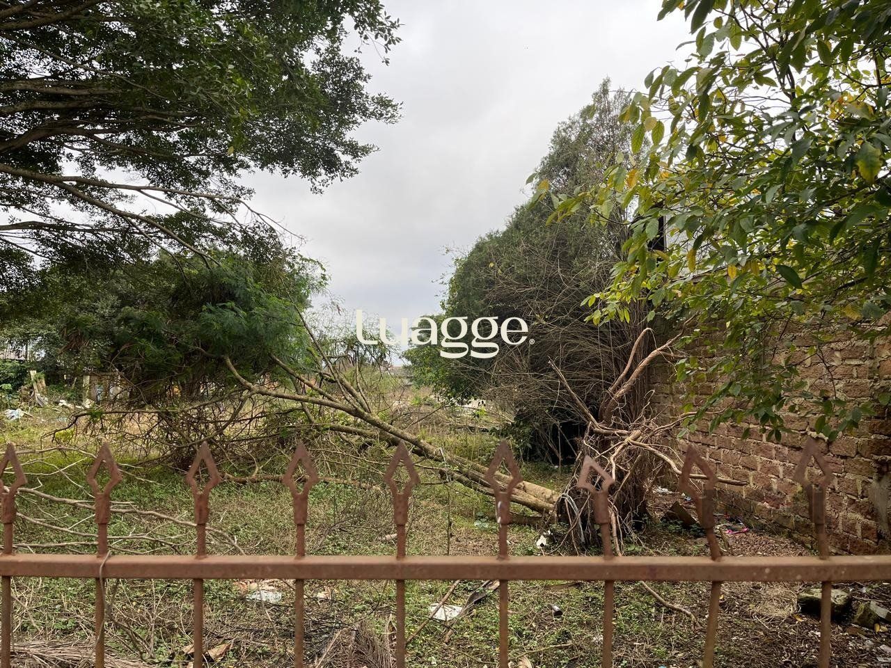 Terreno à venda, 2999m² - Foto 1
