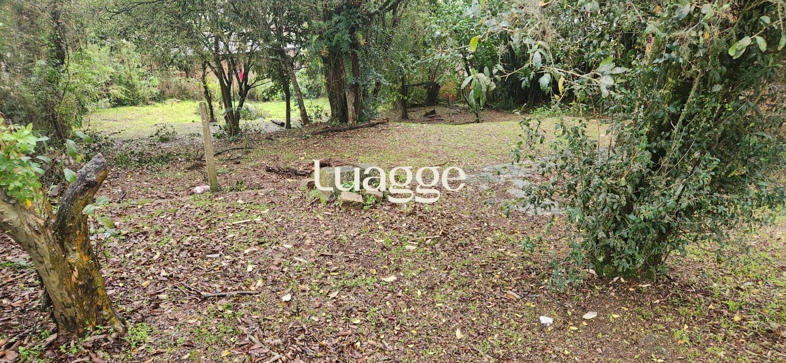 Terreno, 1601 m² - Foto 10