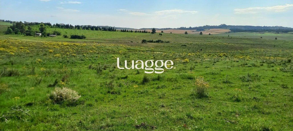 Terreno, 221 m² - Foto 3