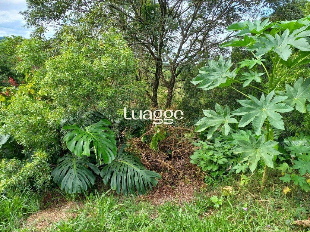 Terreno, 388 m² - Foto 4