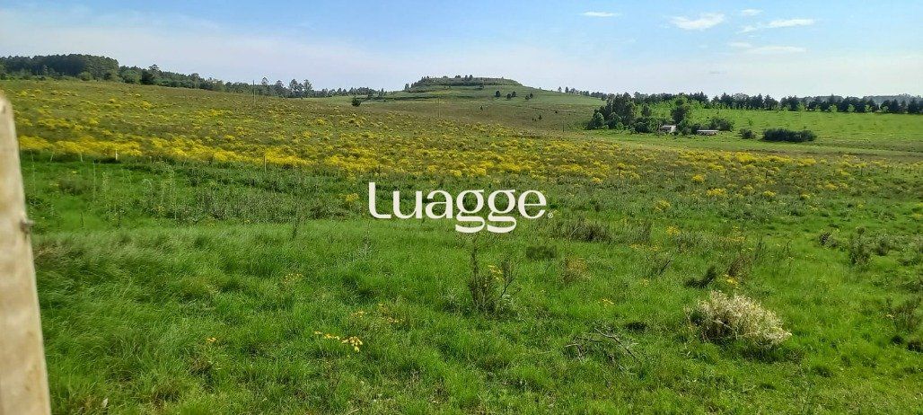 Terreno, 221 m² - Foto 4